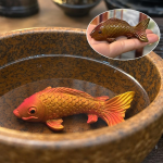 Koi-Tee-Figuren aus Kunstharz — Orange-Rot und Gold