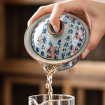 Porzellan-Teeservice mit Gaiwan oder Kanne