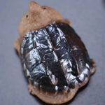 Tea Pet Schildkröte aus Keramik — Große Schildkröte