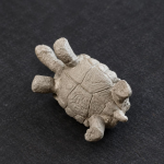 Tea Pet Schildkröte mit gewölbtem Panzer