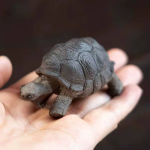 Tea Pet Schildkröte mit gewölbtem Panzer