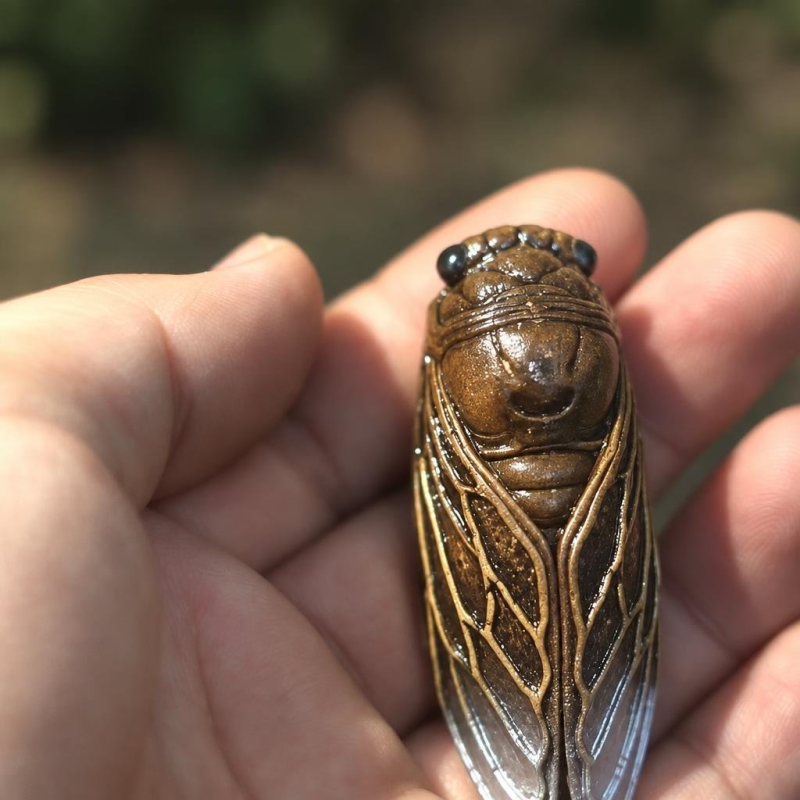 Zikaden-Teetier aus Yixing-Ton mit Goldakzenten