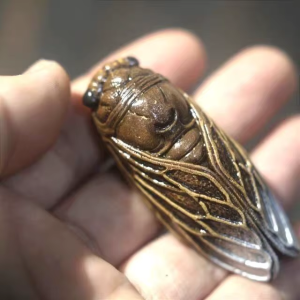 Zikaden-Teetier aus Yixing-Ton mit Goldakzenten